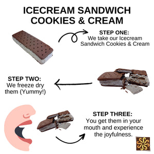 Freeze Dried Icecream Sandwich Cookies & Cream