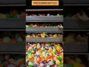 Freeze Dried Skittle Lollies